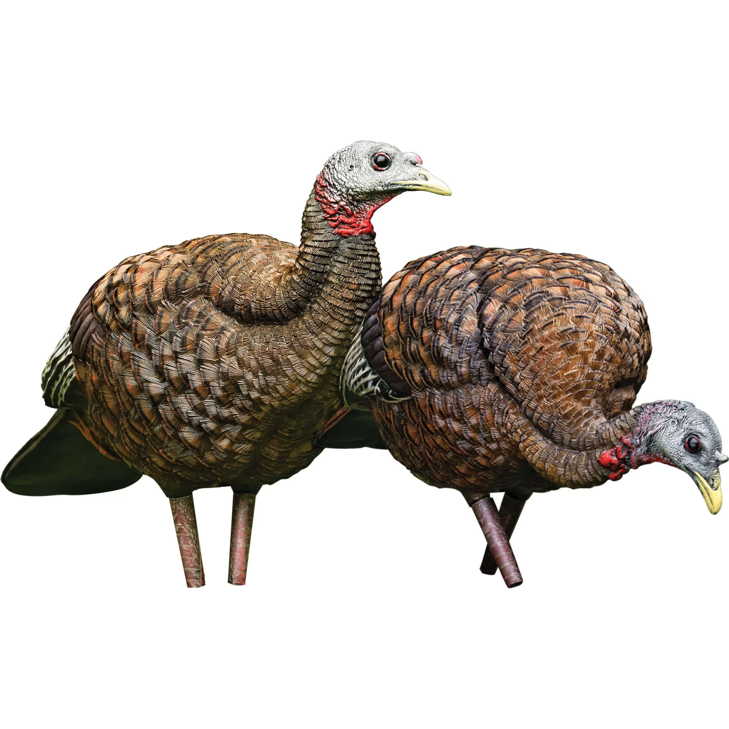 AvianX Pair of Ladies LCD Breeder/Feeder Hen Turkey Decoy Combo Cabela's